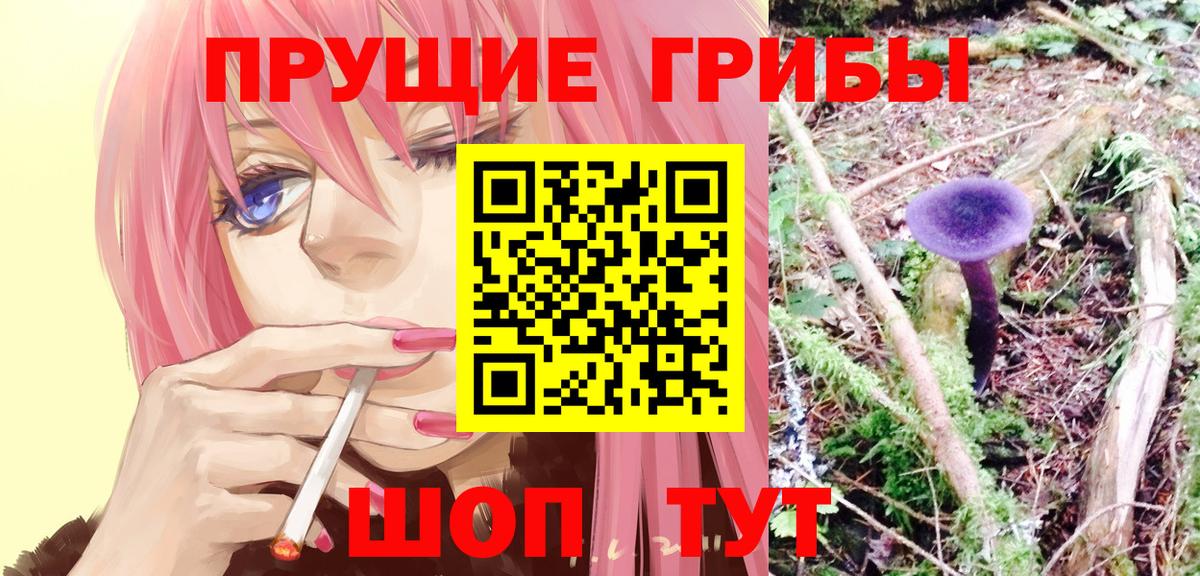 как найти закладки  Вход с VPN  Сунжа  Галлюциногенные грибы ЛСД 